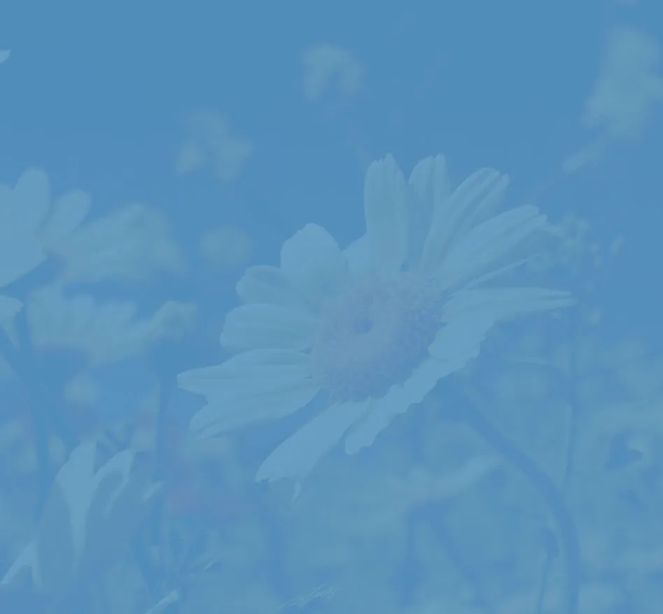 White flower with a green tint over the image